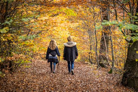 The Transgaumaise trail through the Gaume region